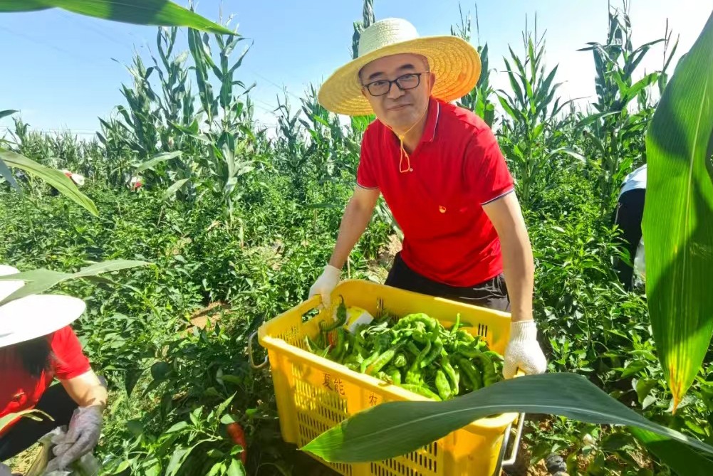 彩库宝典大全资料